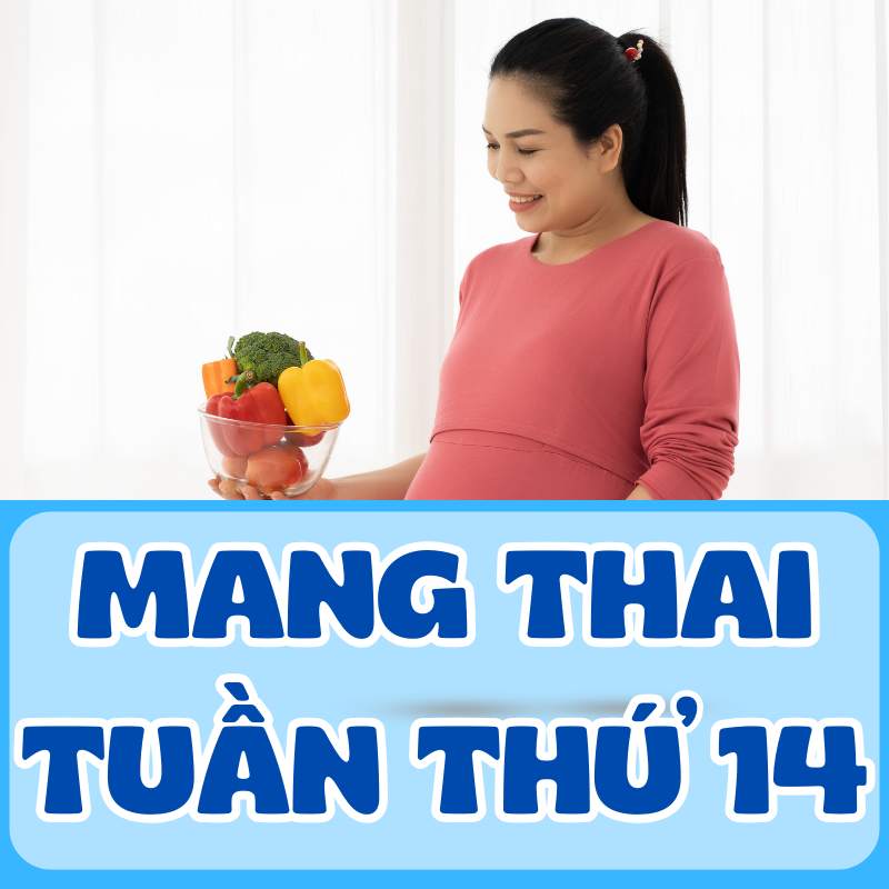 Mang thai tuần thứ 14 của thai kỳ tam cá nguyệt thứ 2